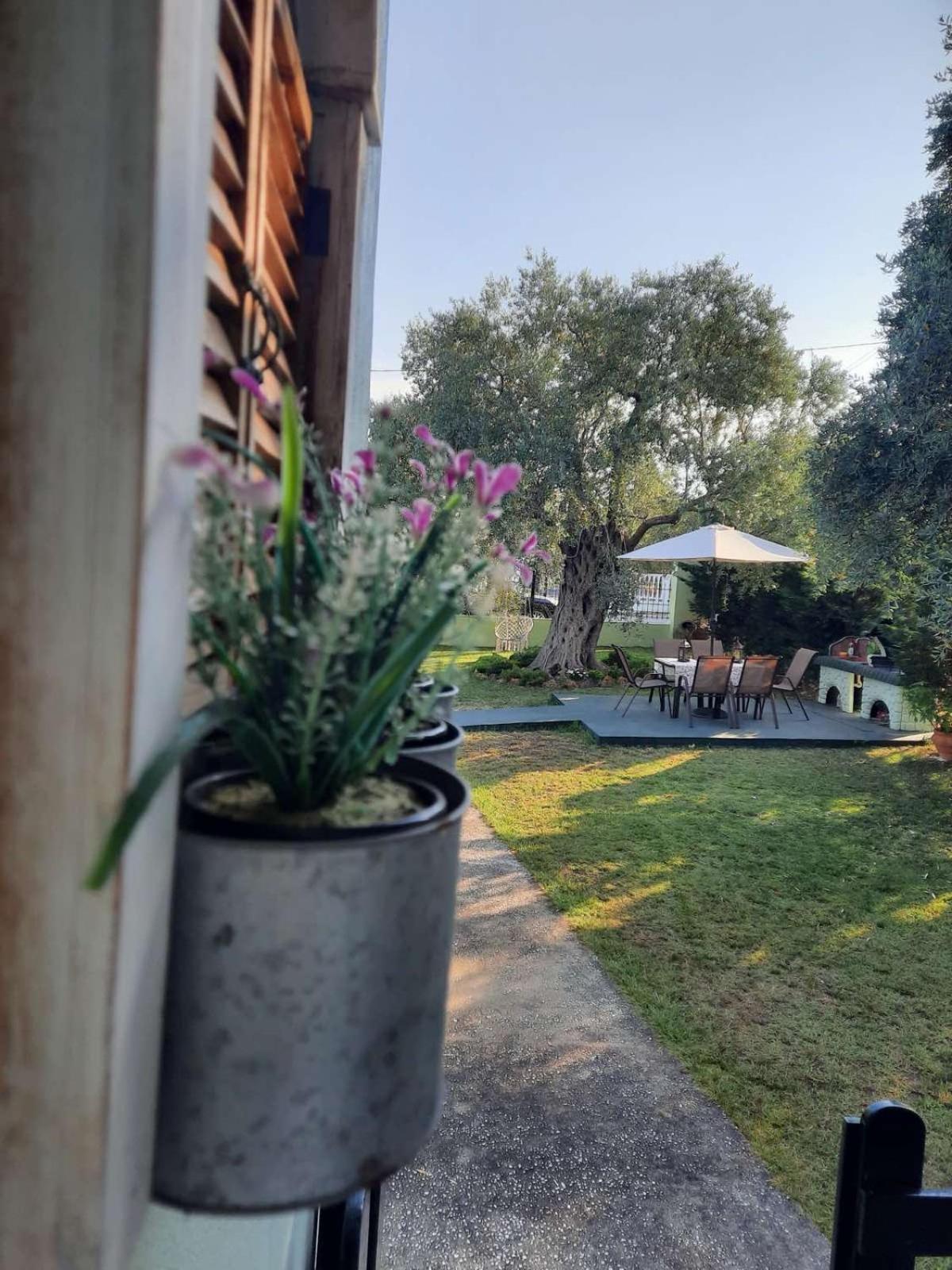 Villa Elia سكالا سوتيروس المظهر الخارجي الصورة