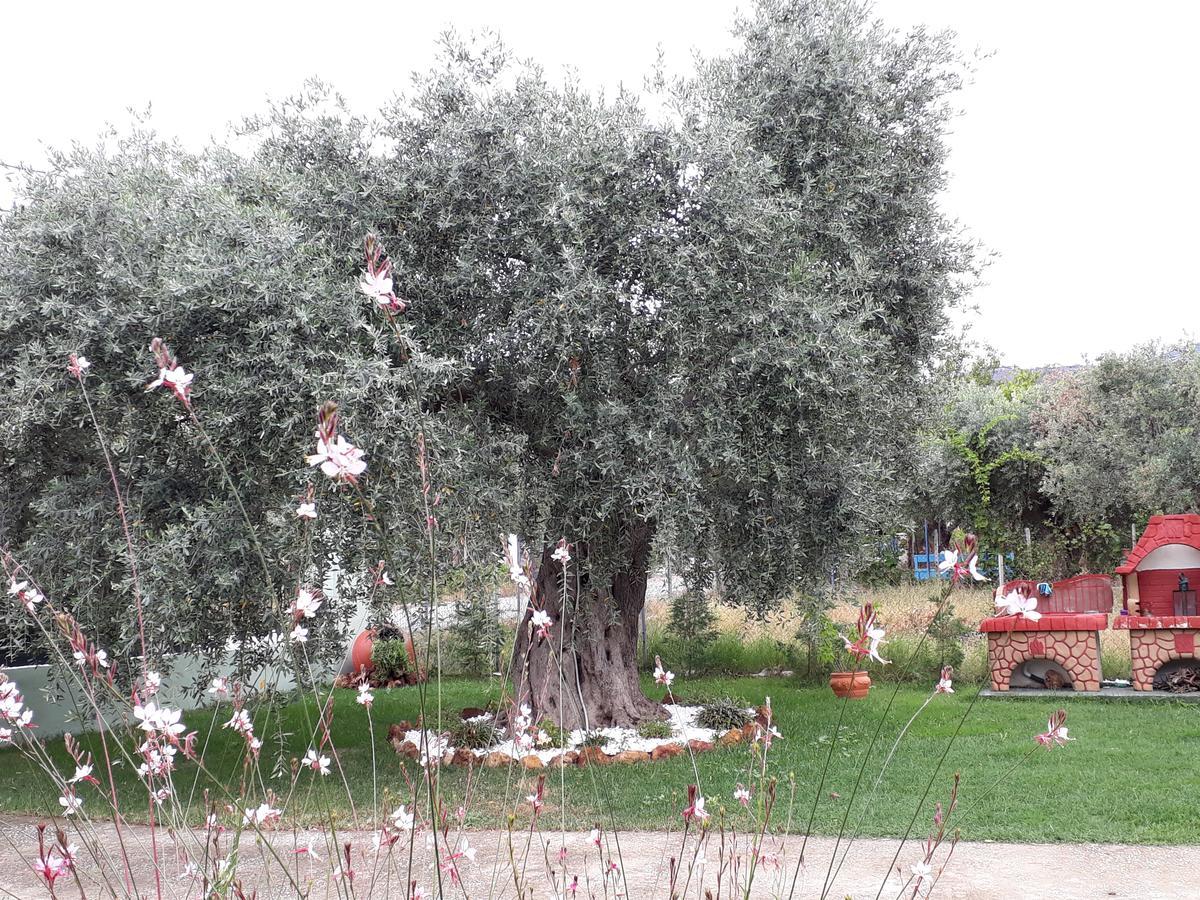 Villa Elia سكالا سوتيروس المظهر الخارجي الصورة